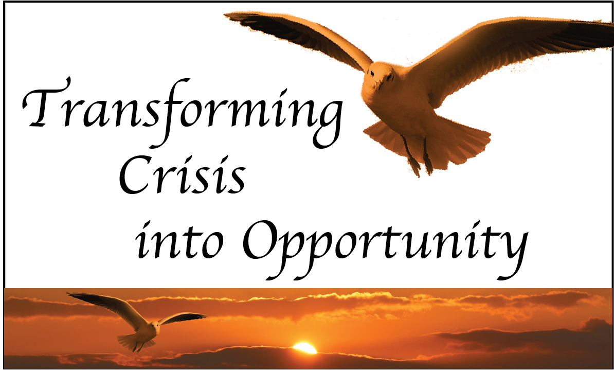 Transforming Crisis into Opportunity