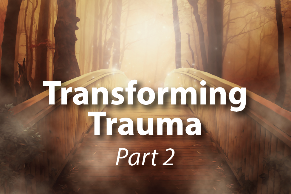 Transforming Trauma 2